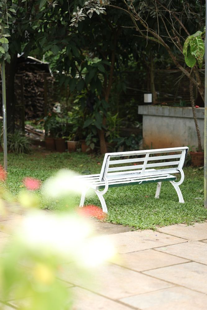 A white garden bench among red flowering shrubs
